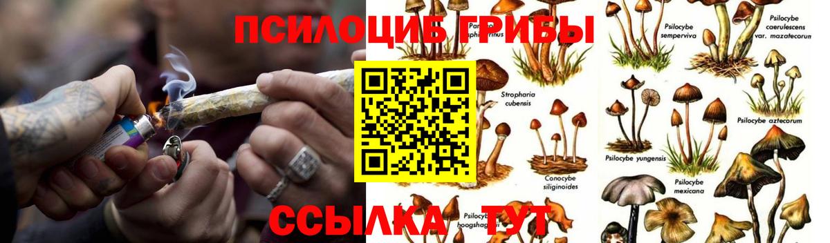 МЕФ Туапсе