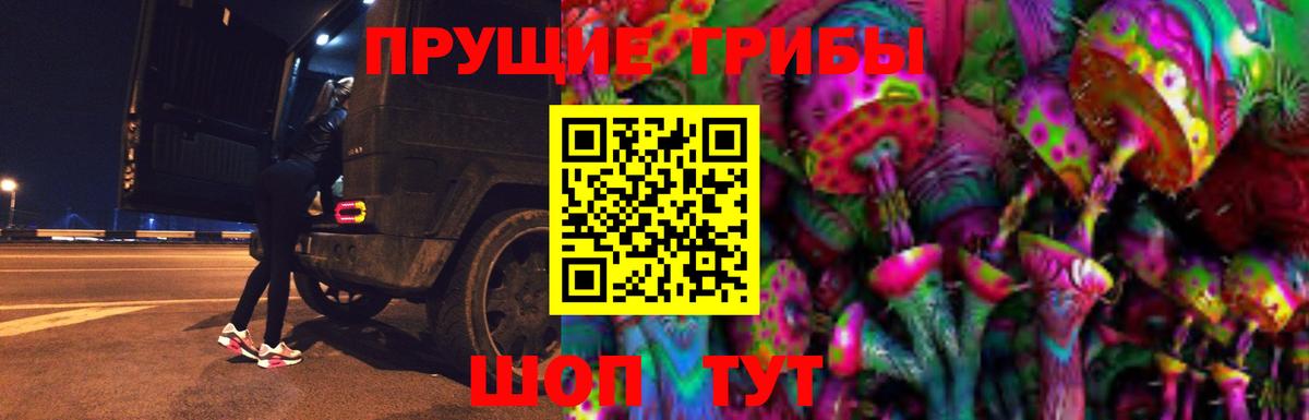 Туапсе  Галлюциногенные грибы прущие грибы  Вход с VPN 