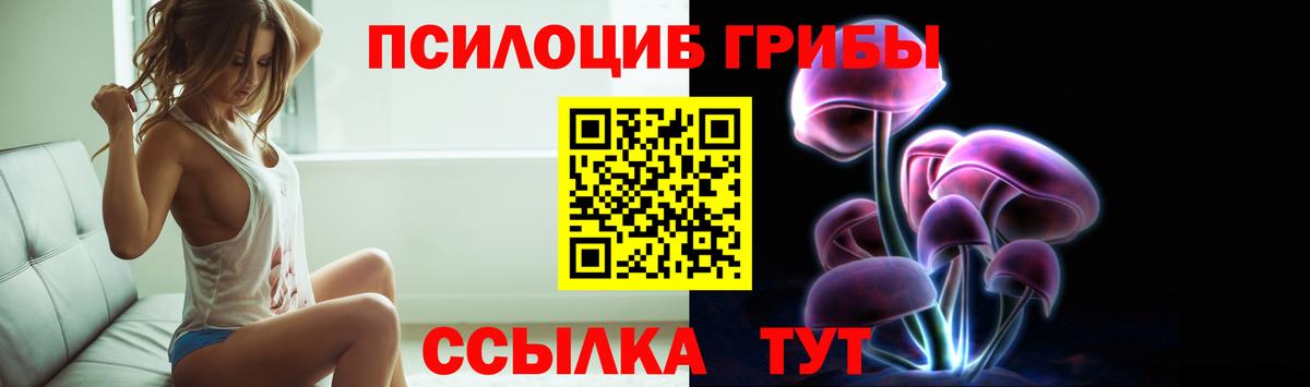 Галлюциногенные грибы Psilocybine cubensis Туапсе